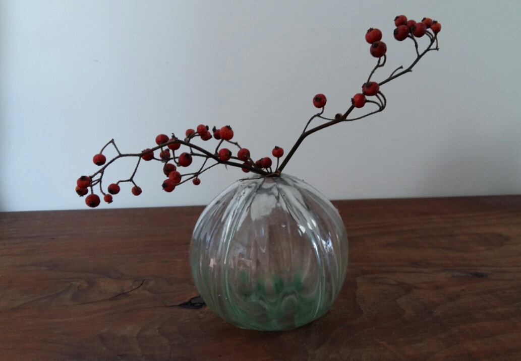 2017-01-13 13.18.42.jpg