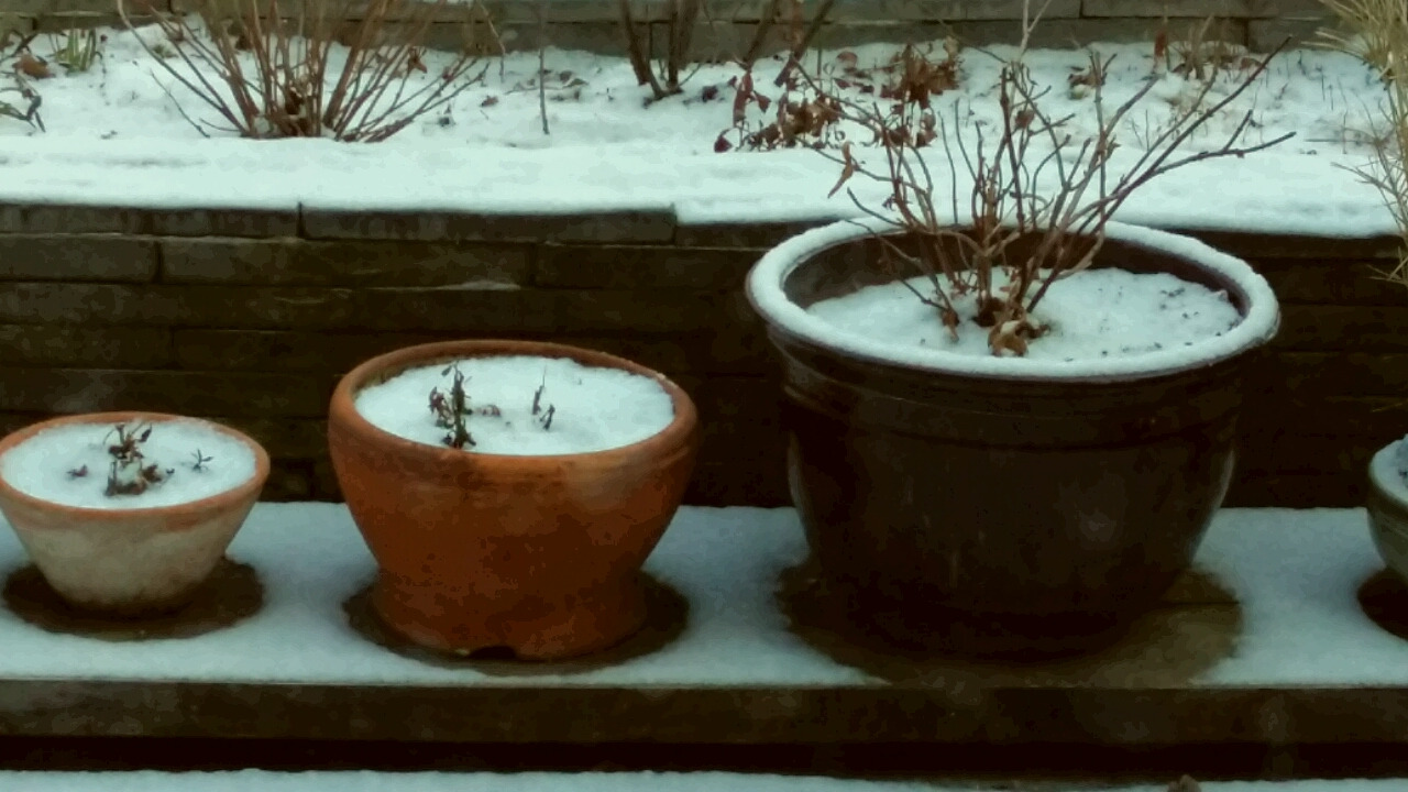 2017-01-13 13.19.45.jpg