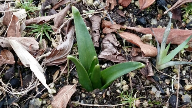 2017-01-10 19.58.32.jpg