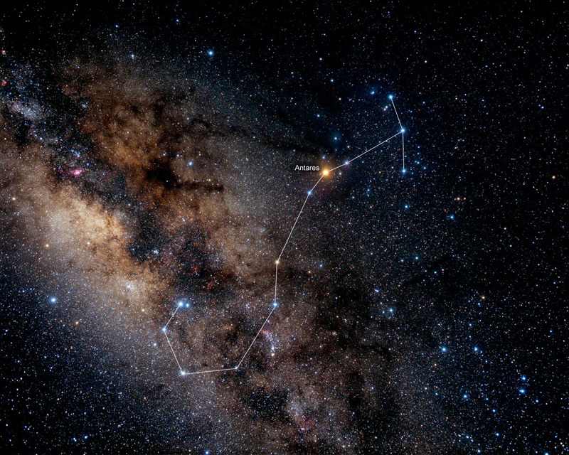 scorpius_02.jpg