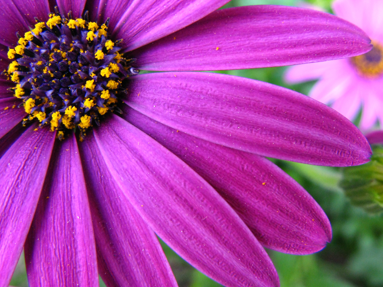 4차산업혁명강의 인문학강의 제1강.jpg