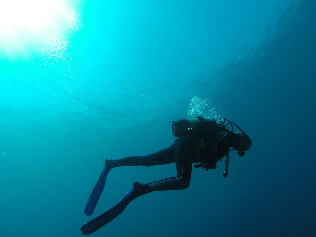 diver-752667_1920.jpg