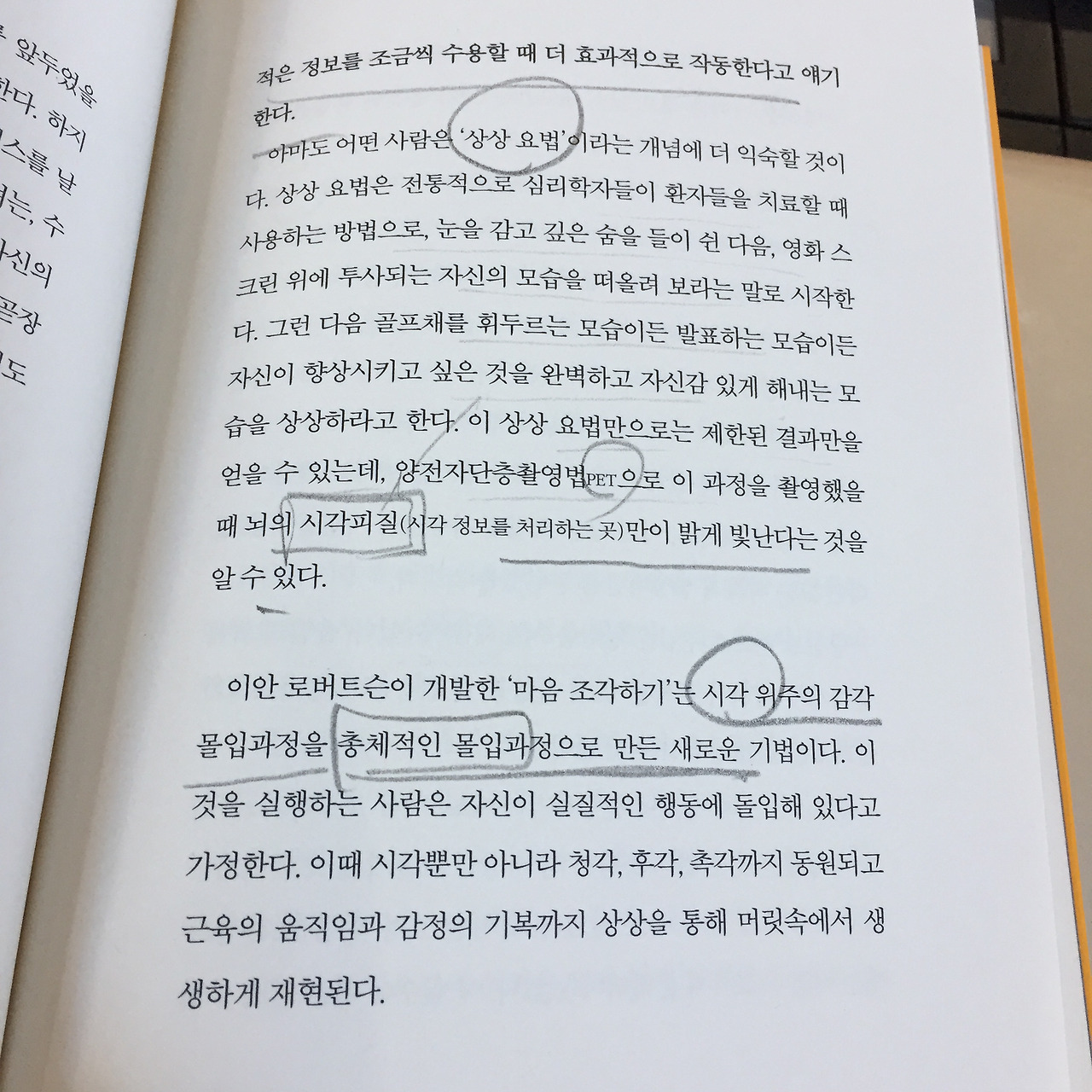 Evernote Camera Roll 20160920 113215.jpg