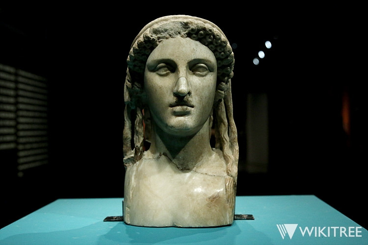 IMG_9580 야누스.jpg