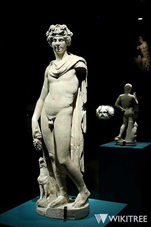 IMG_9574 바쿠스.jpg