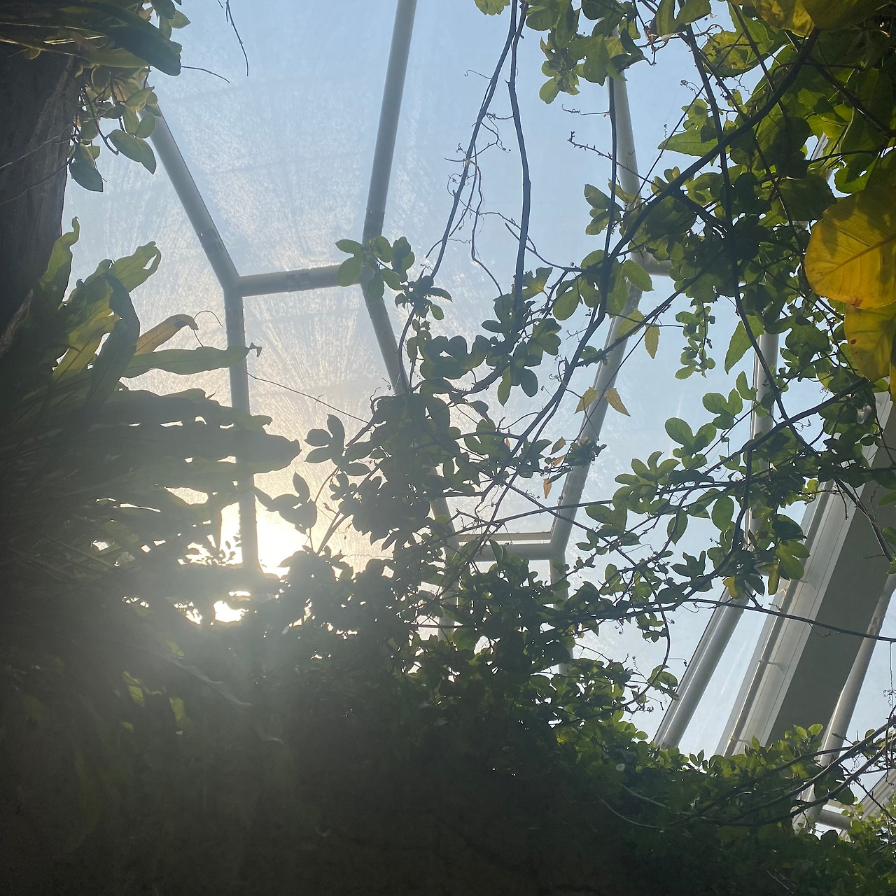 팔십과 스물일곱의 남산돈까스 이미지.jpg