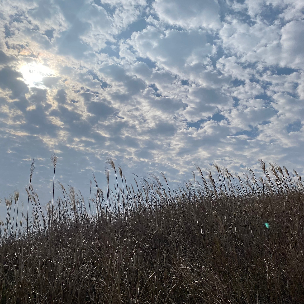 '타인'이라는 이름의 재미 이미지.jpg