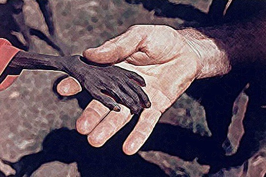 송이의 수술2.jpg