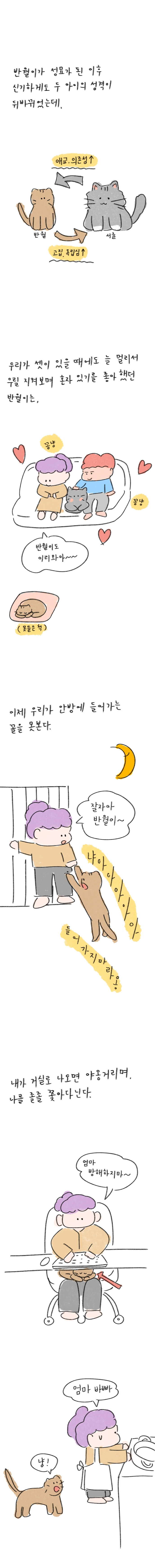 23_60 복사_2.jpg