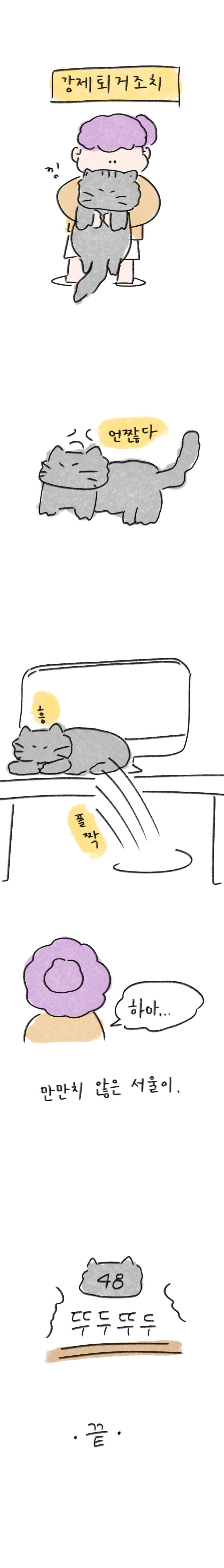 23_48 복사_4.jpg