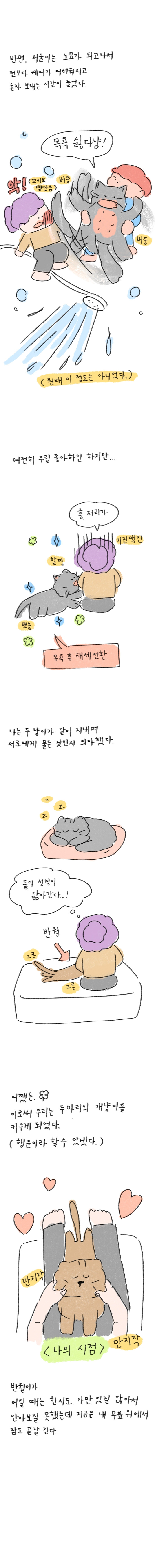 23_60 복사_3.jpg