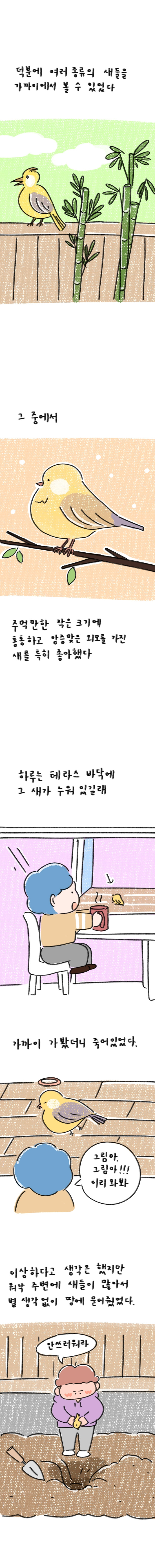 22_31화 2 복사_2.jpg