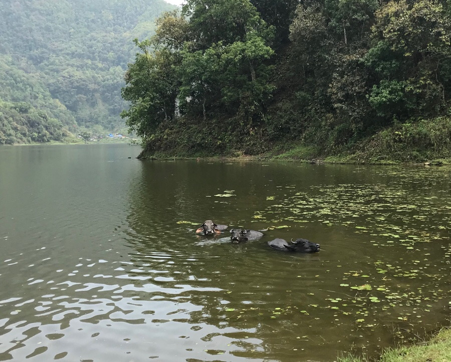 NaverBlog_20180513_191208_03 (1).jpg