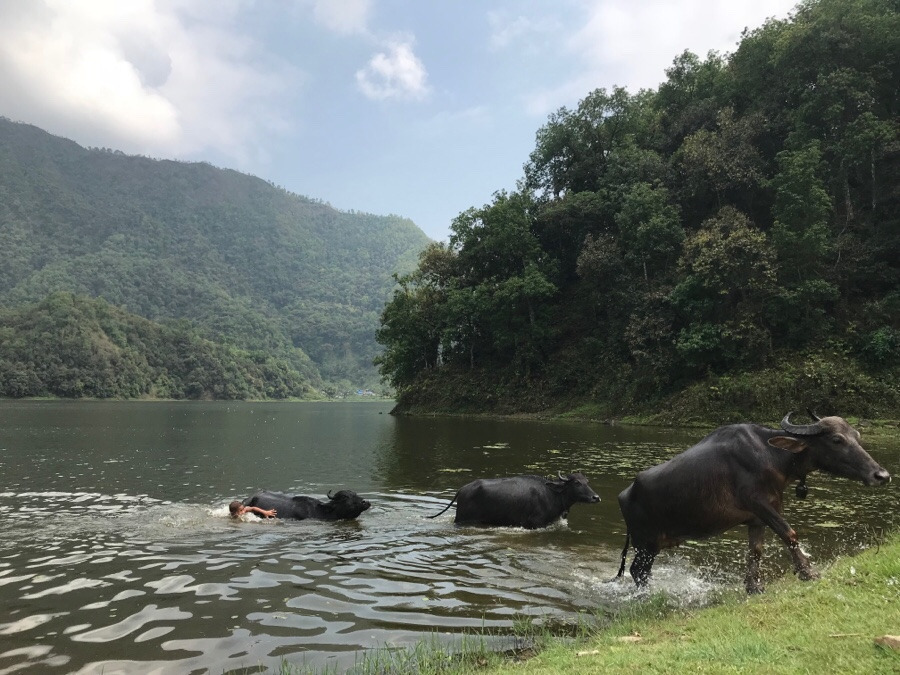 NaverBlog_20180513_191213_06 (1).jpg