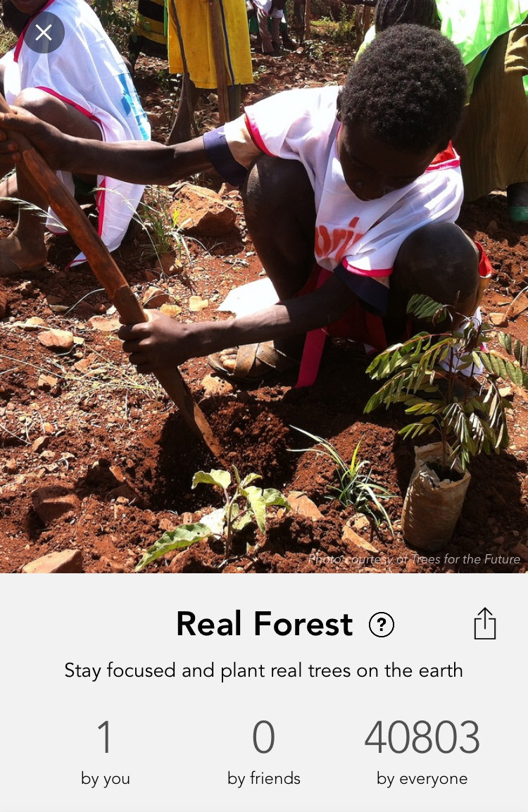 Evernote Camera Roll 20161009 202835.jpg