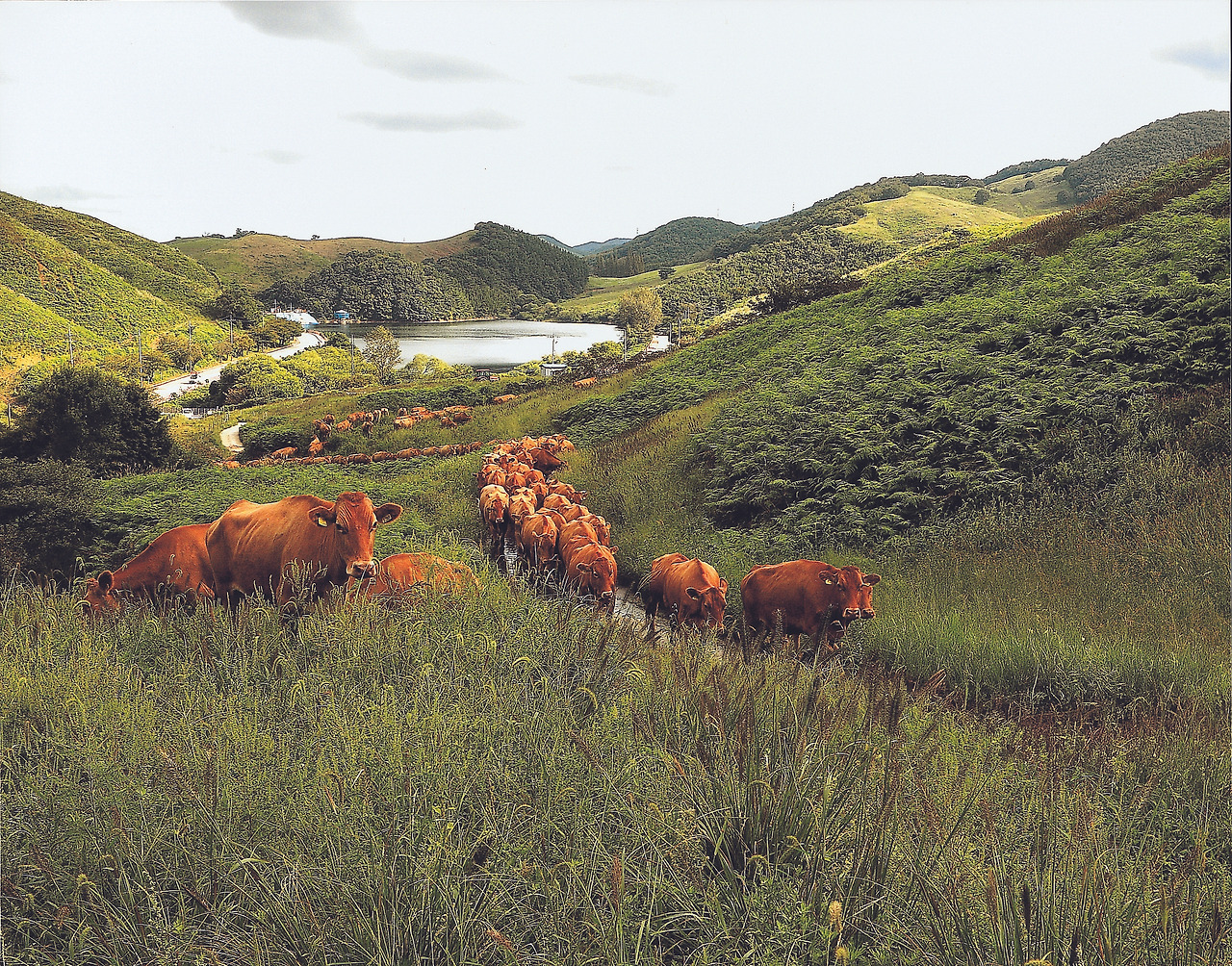 3 동상-양성미 (1).jpg