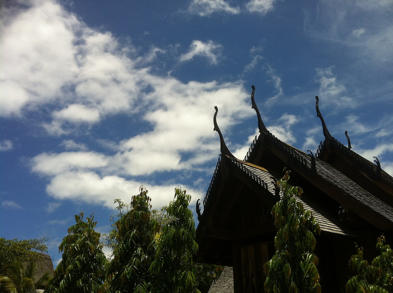 사본 - IMG_0483.jpg