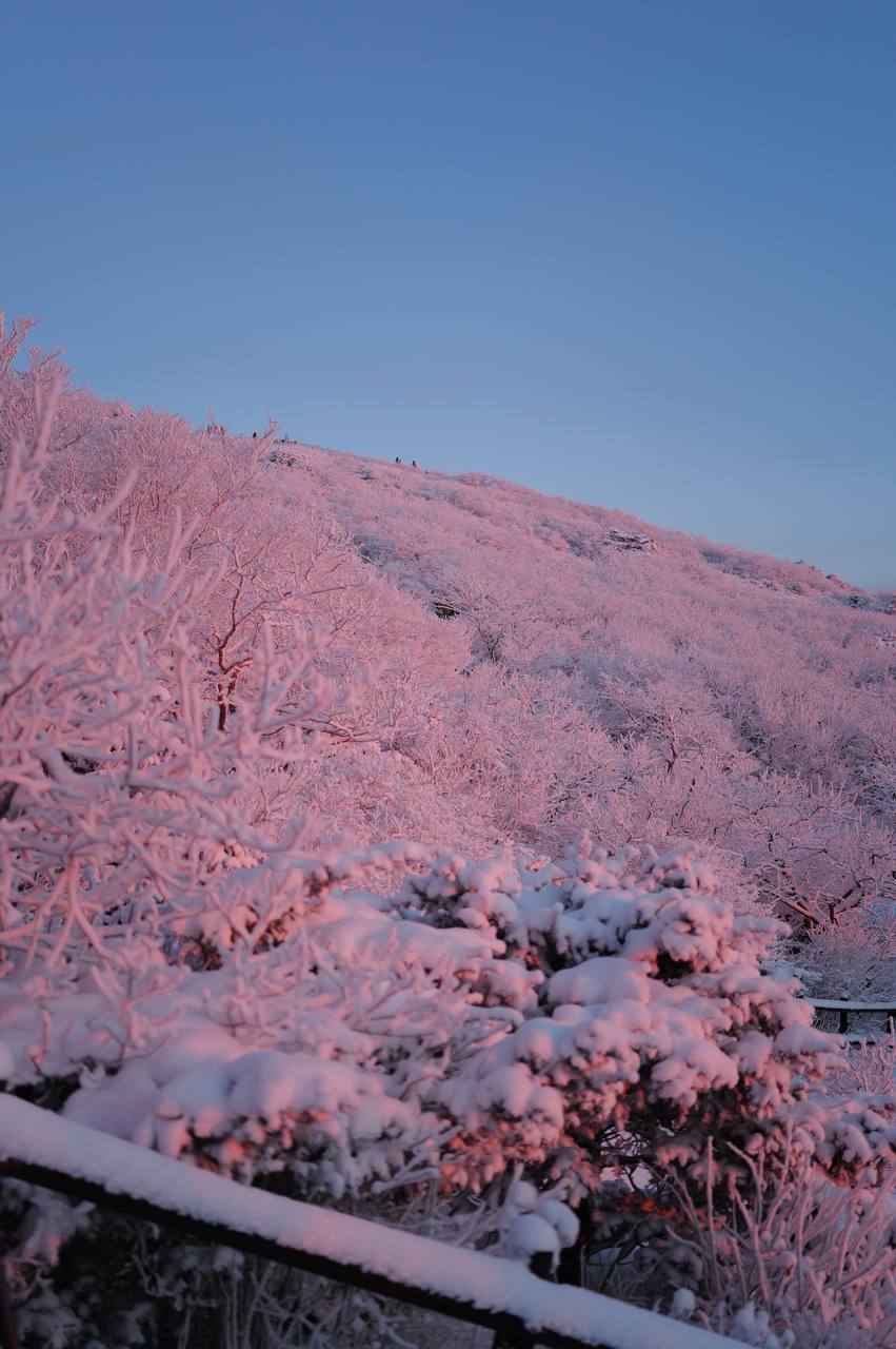 2026-01-11 19.31.48.jpg