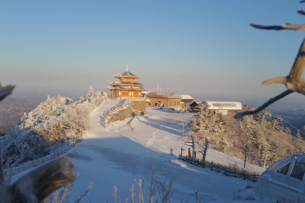 2026-01-11 19.32.17.jpg