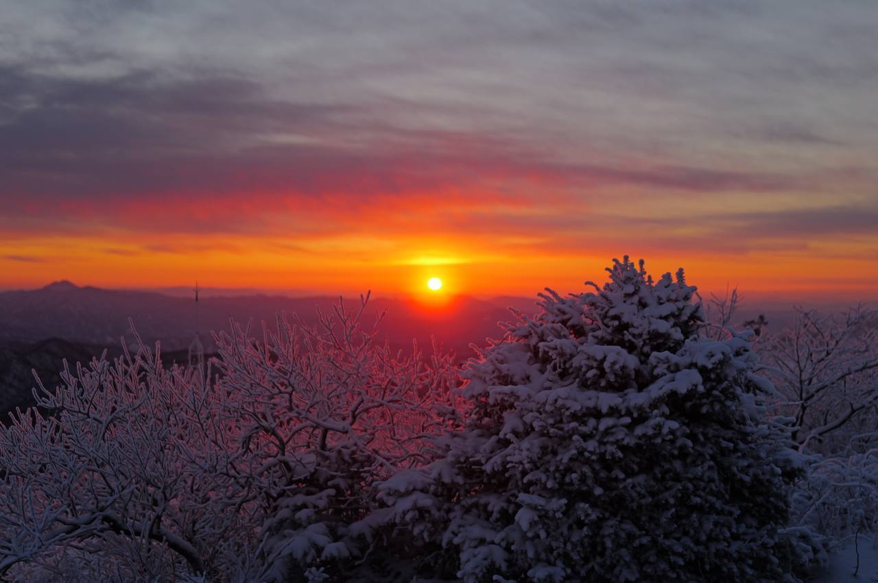 2026-01-11 19.30.23.jpg