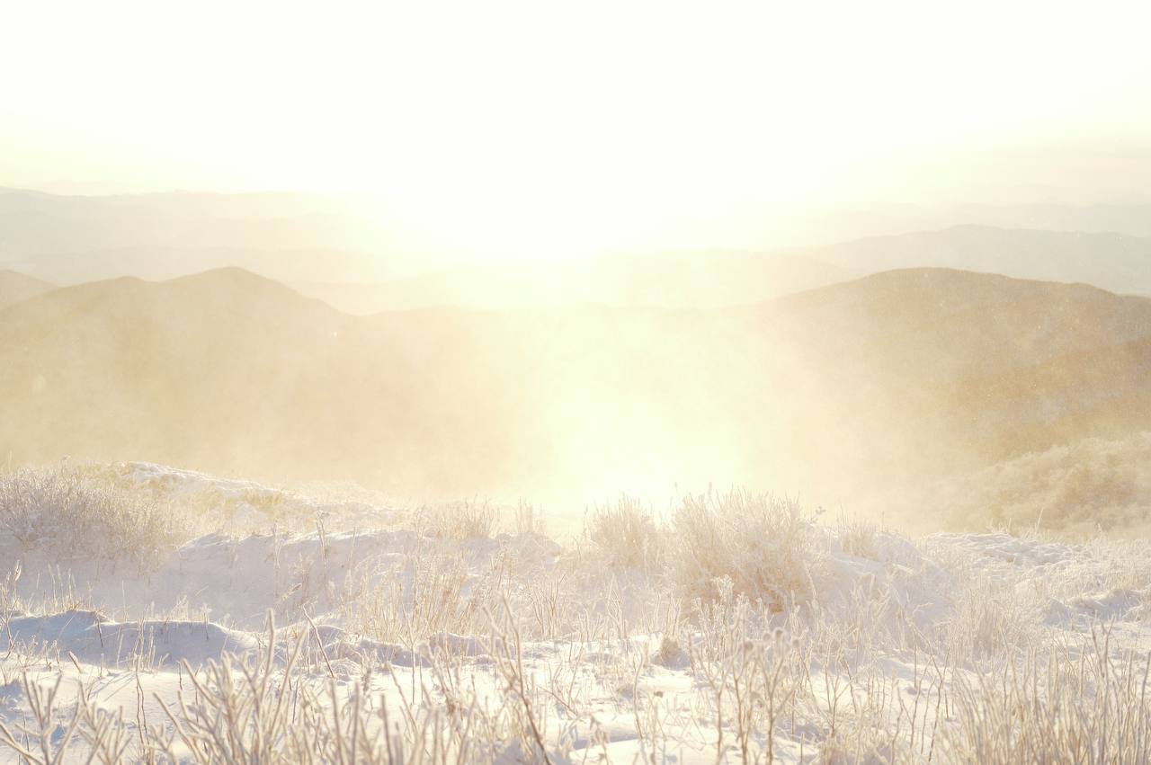 2026-01-11 19.31.58.jpg