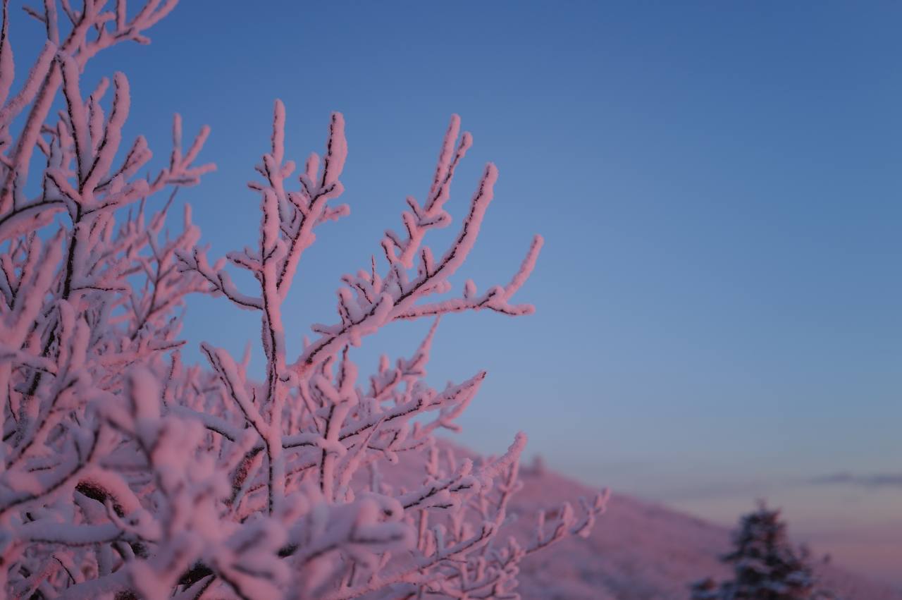 2026-01-11 19.31.38.jpg