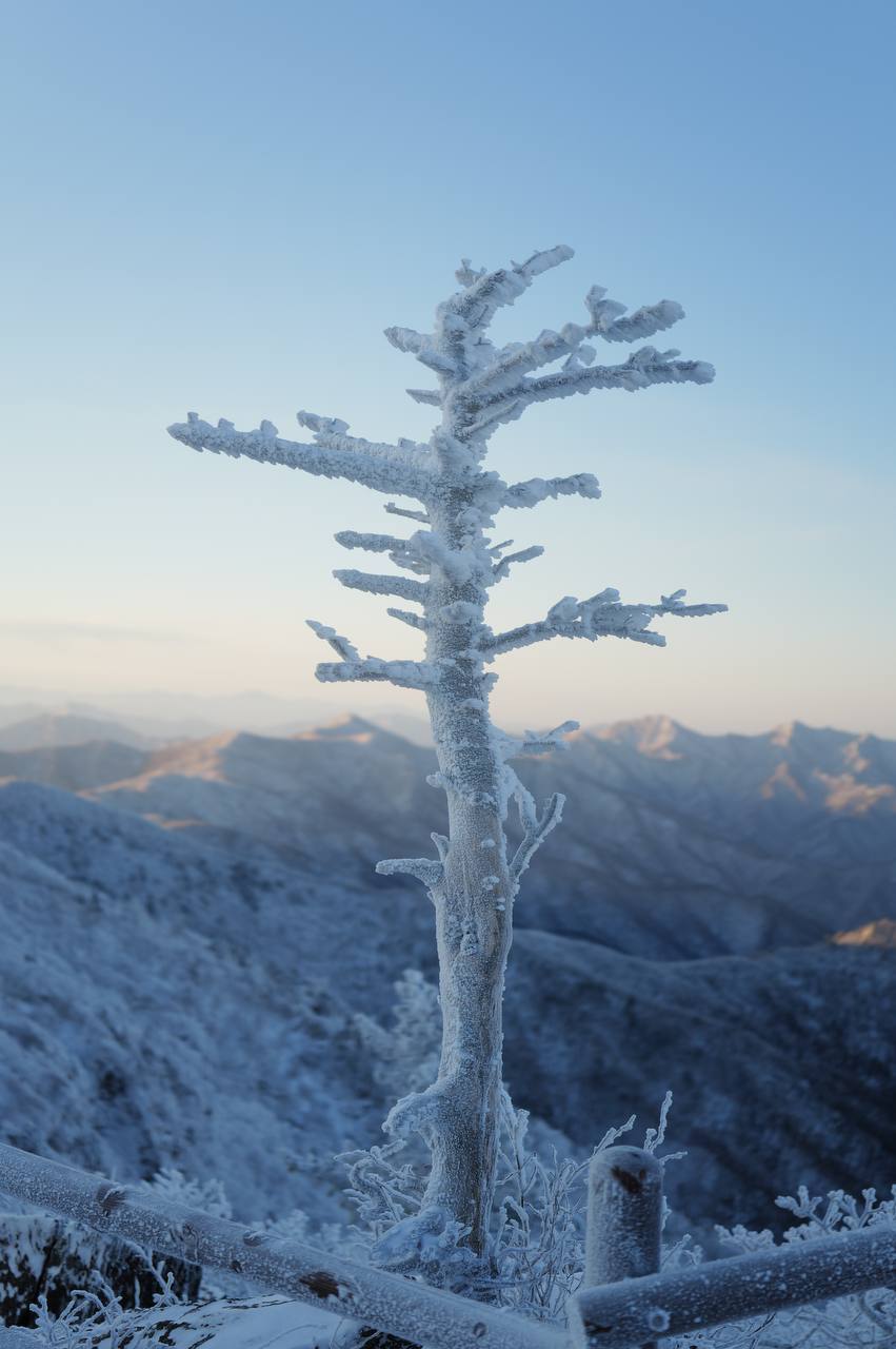 2026-01-11 19.32.07.jpg