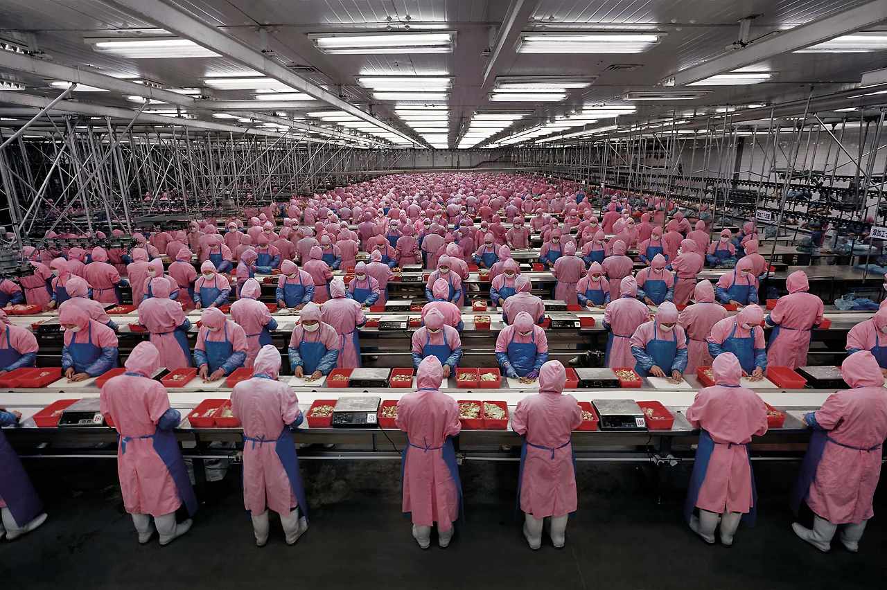Manufacturing-17-Deda-Chicken-Processing-Plant-Dehui-City-Jilin-Province-China-2005_Web.jpg