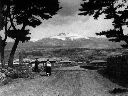 옛 서귀포 서홍리 어기.jpg