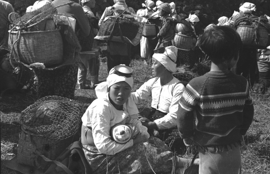 서재철 사진 2.jpg