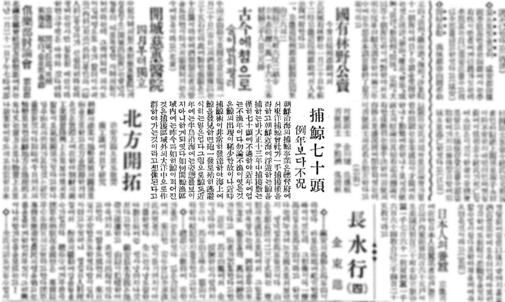 1925년 1월 28일 포경 70두 예년보다 불황(동아일보).jpg