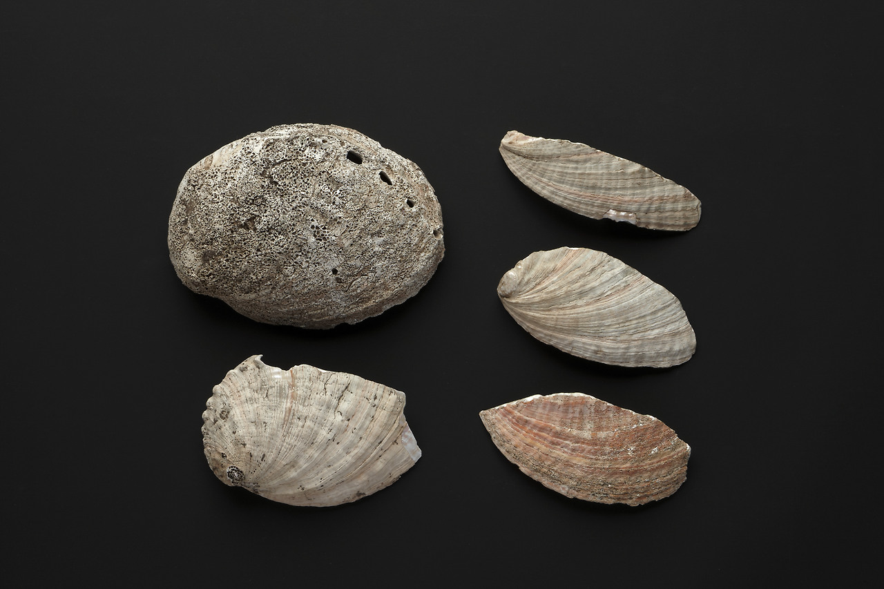 09.05.14 제주박물관 특별전 238.jpg