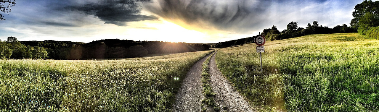 path-820298_1920 (1).jpg