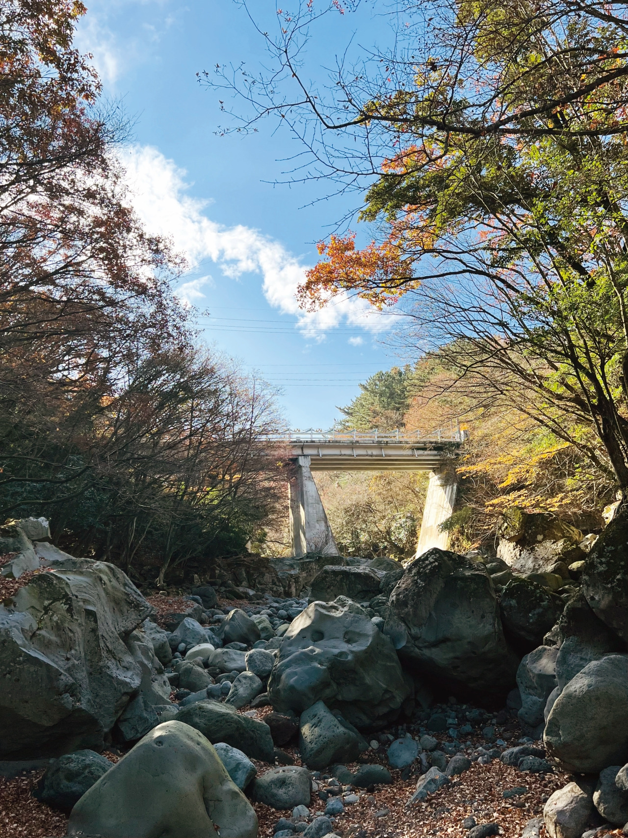 batch_65p 보정.jpg