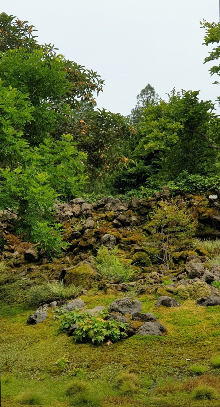 베케의 정원.jpg