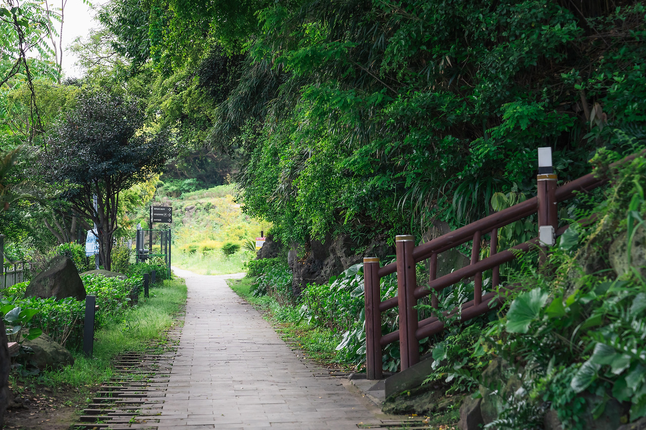 M4_00364_rgb (2).jpg