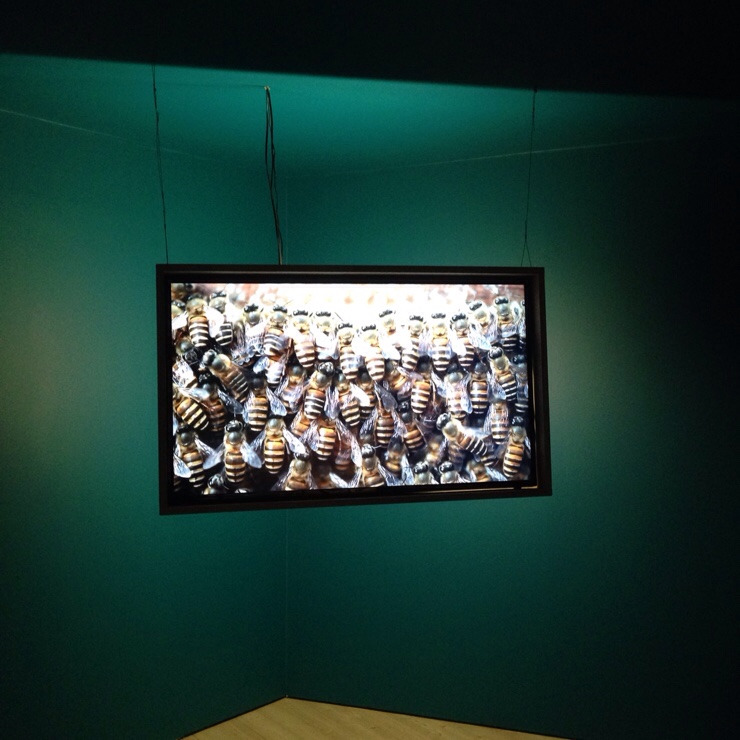 2012111261_윤혜난_식물_1.스톡홀름의 농업 전시.jpg