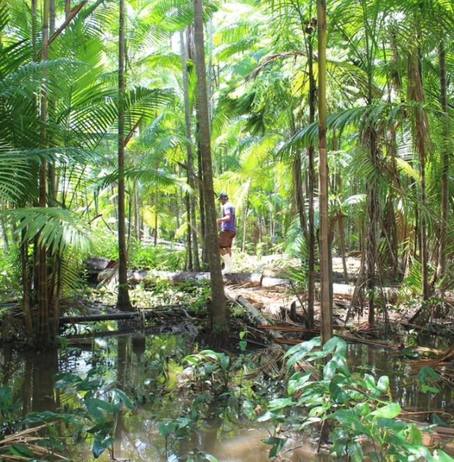 Untitled-10 copy.jpg