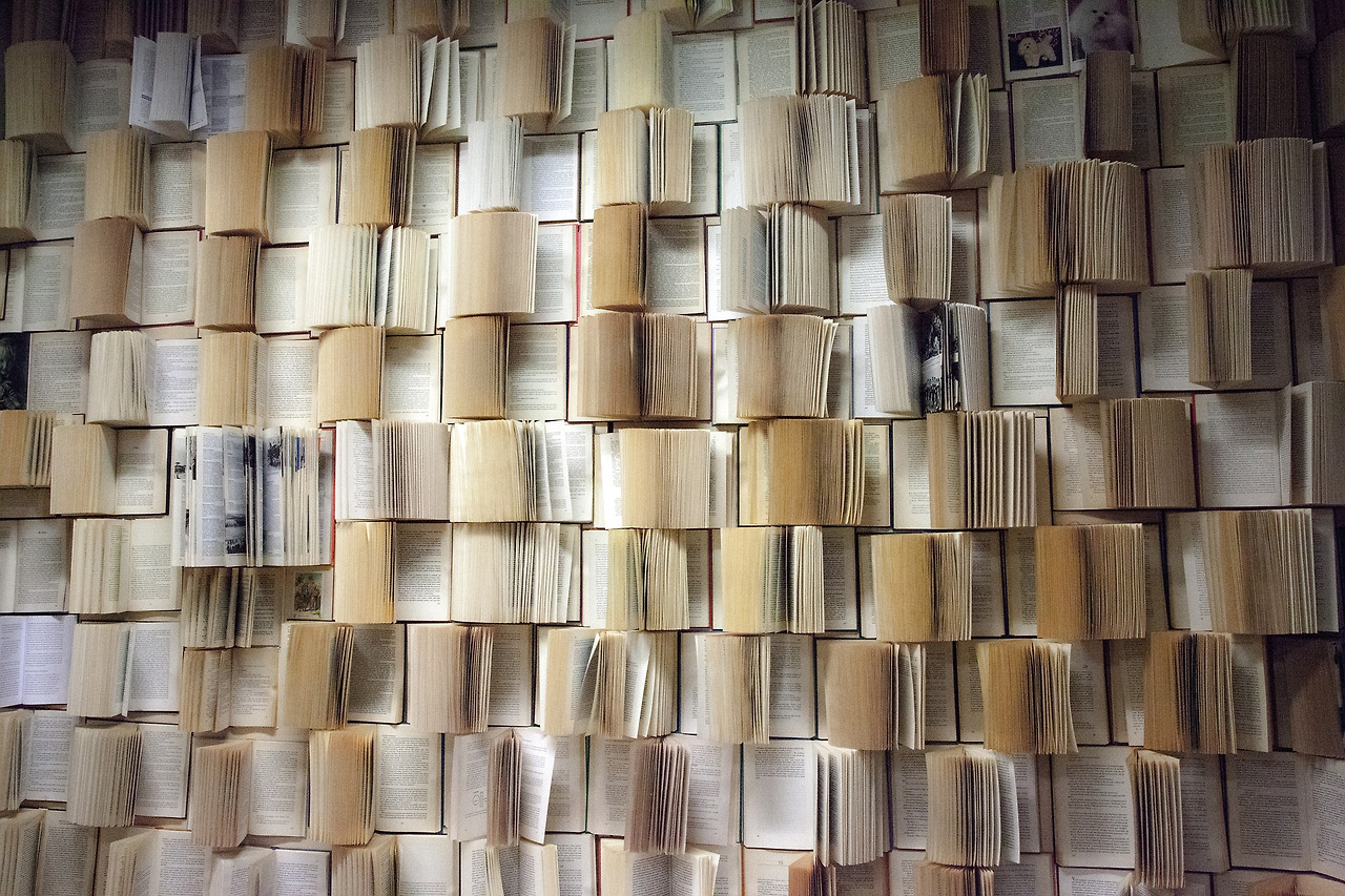 book-wall-1151410_1920(컨텐츠9).jpg