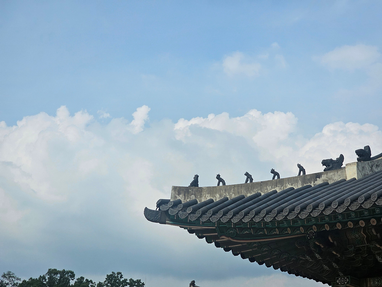 지붕위의 고심.jpg