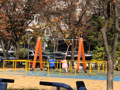 2017-11-18 13.48.48_500x375.jpg