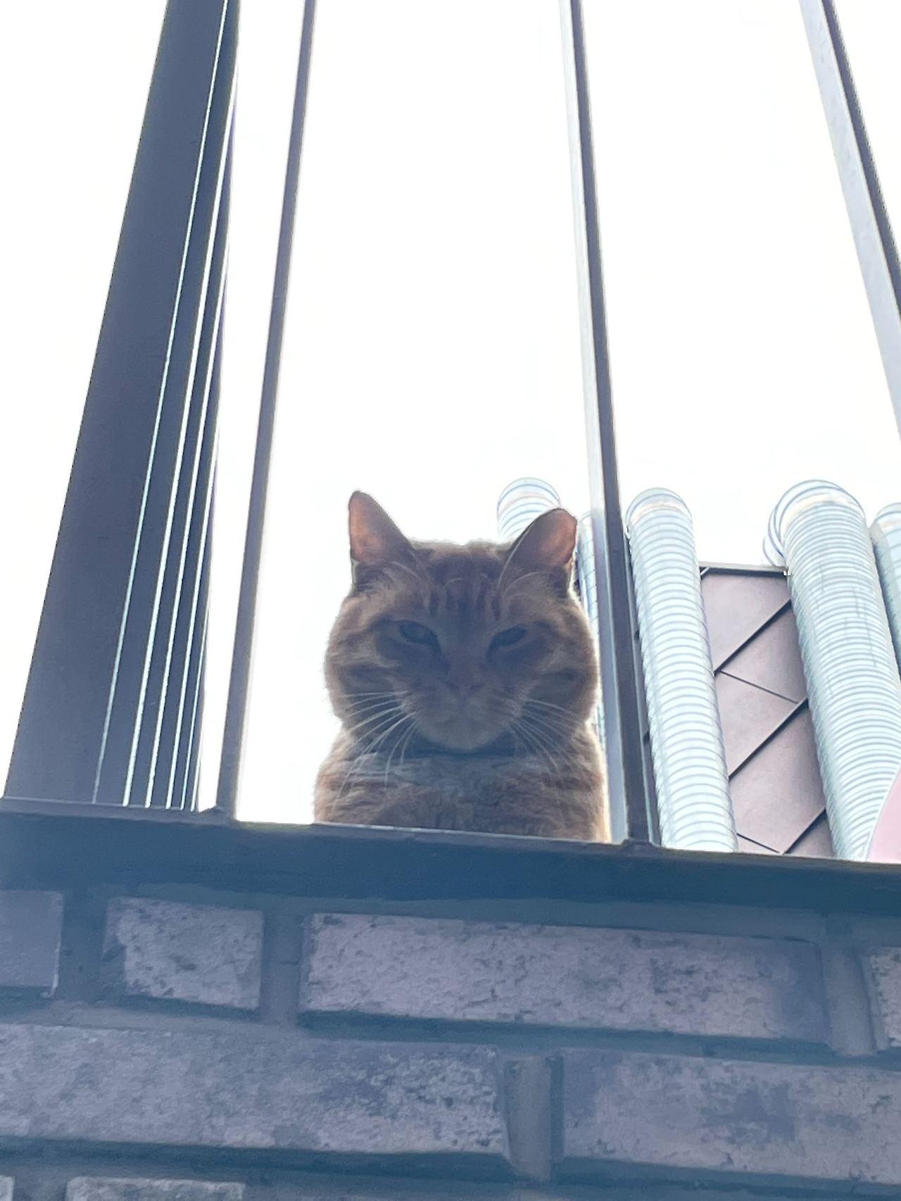 사진 1.jpg