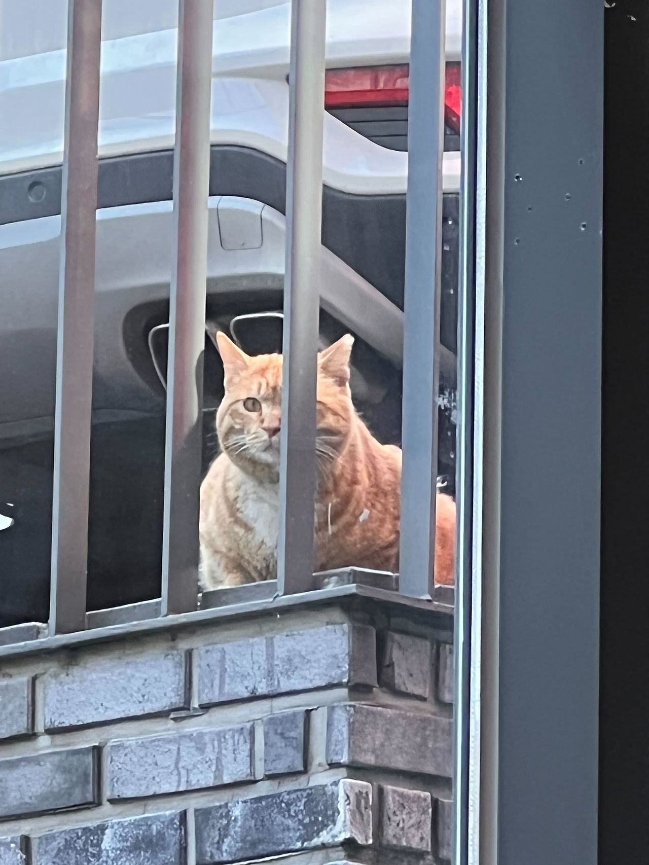 사진 2.jpg