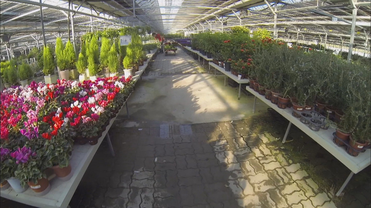 기장화훼단지.jpg