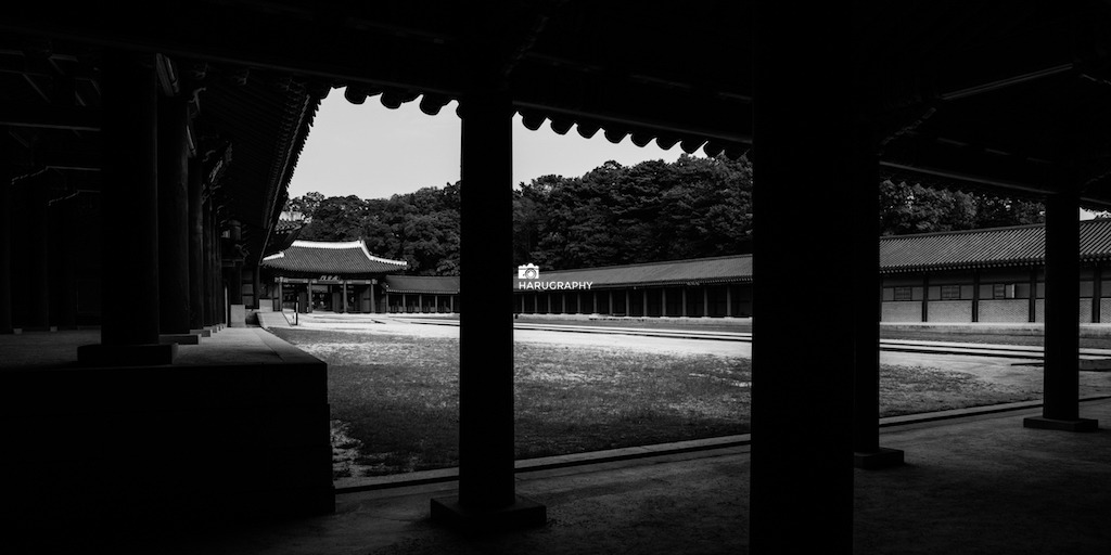 LDW_2382 복사본.jpg