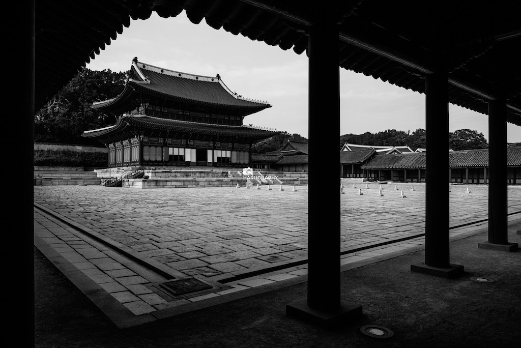 LDW_2375 복사본.jpg