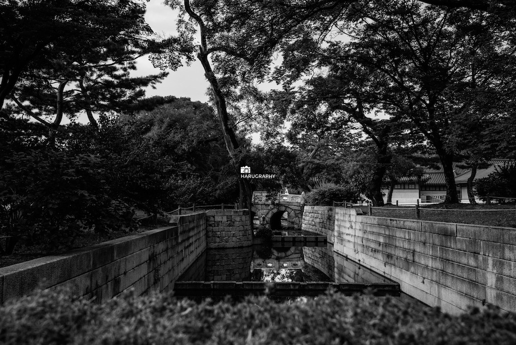 LDW_2304 복사본.jpg