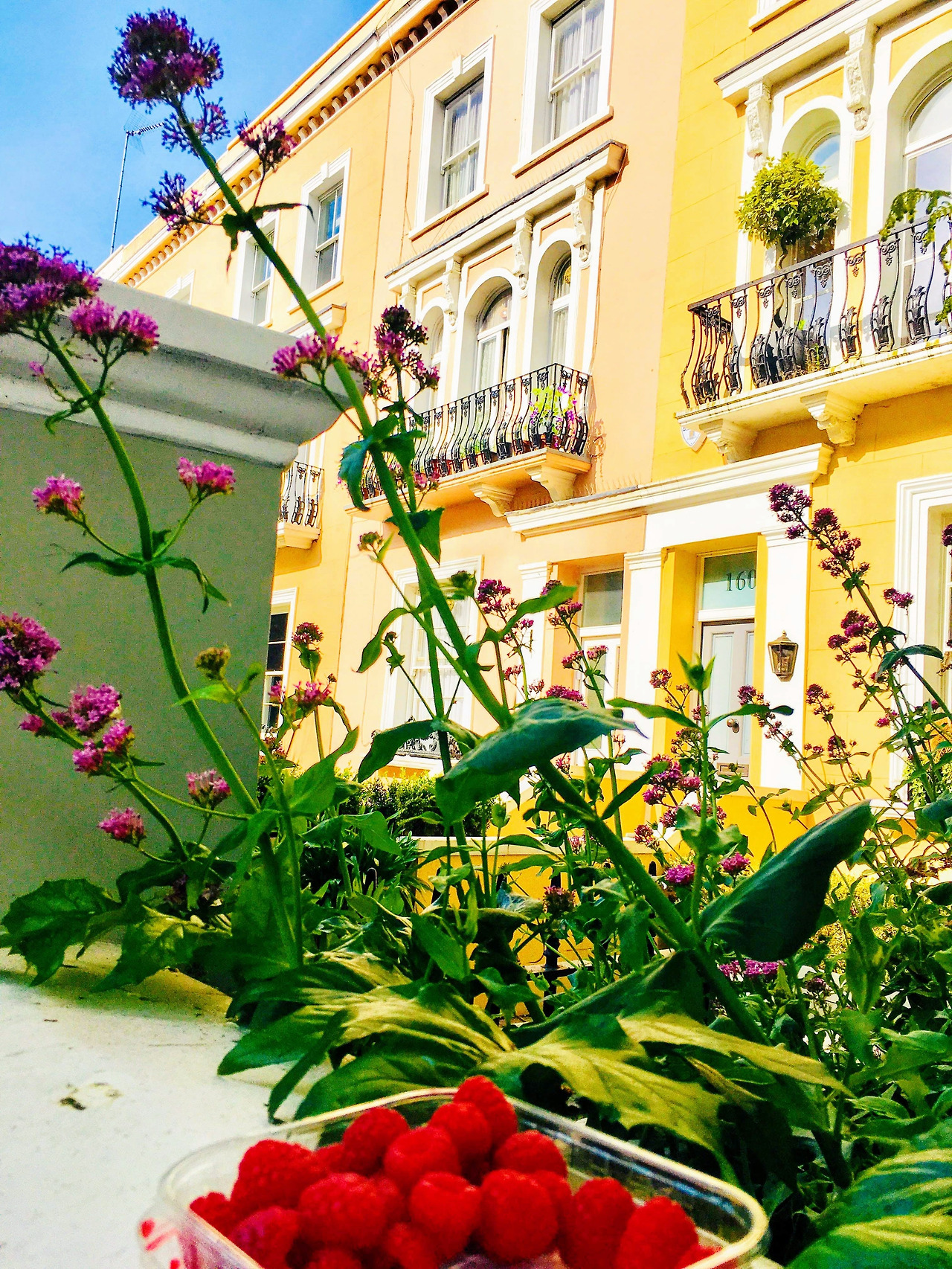 IMG_2377-EFFECTS (1).jpg