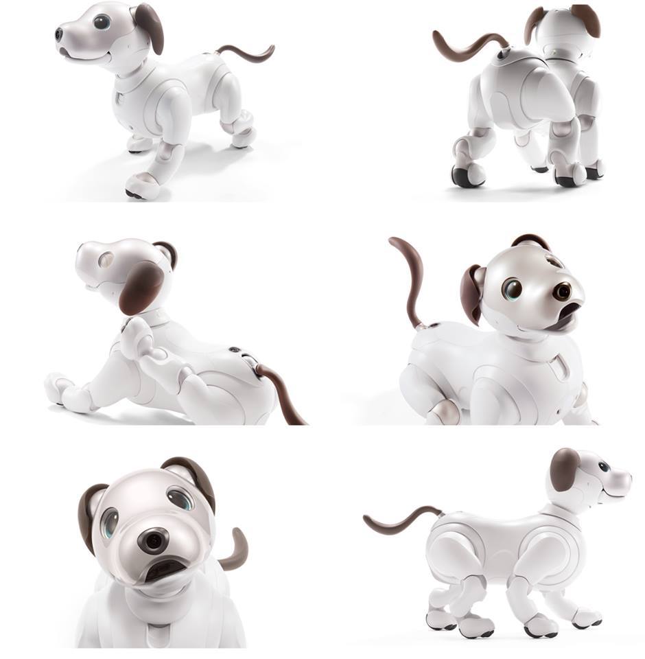 22894409_10155679779098617_8783552261444497420_n (1).jpg