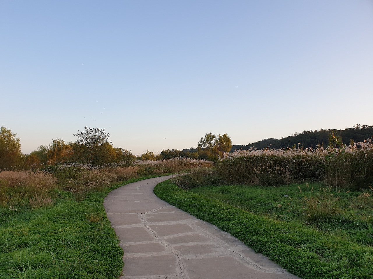 개화산 생태습지 공원 20191012_(01).jpg